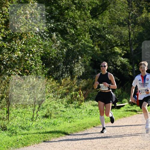 27.09.2026 - 35. Volkslauf durch das schöne Alstertal Dr. Thomas Lammeyer http://msf.ph/oto/10570774 27.09.2026 11:15:27 Laufen 3965, 3961 meine-sportfotos.de