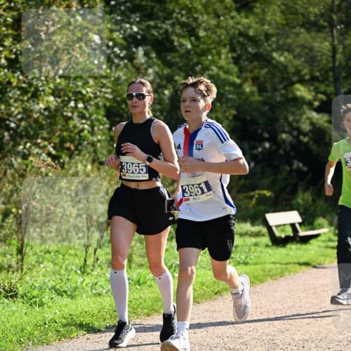 27.09.2026 - 35. Volkslauf durch das schöne Alstertal Dr. Thomas Lammeyer http://msf.ph/oto/10570783 27.09.2026 11:15:29 Laufen 125, 3965, 3961, 3 meine-sportfotos.de