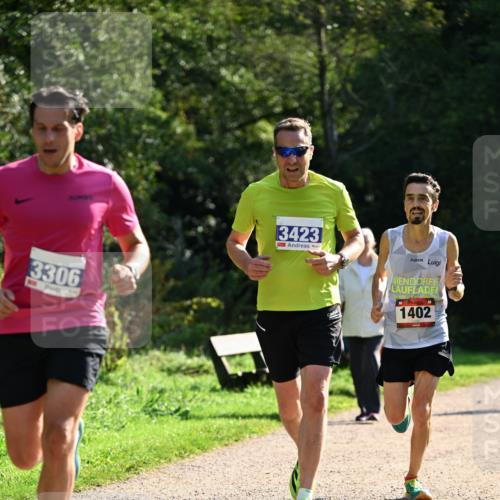 27.09.2026 - 35. Volkslauf durch das schöne Alstertal Dr. Thomas Lammeyer http://msf.ph/oto/10570910 27.09.2026 11:16:07 Laufen 3306, 3423, 9, 1402 meine-sportfotos.de