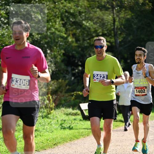 27.09.2026 - 35. Volkslauf durch das schöne Alstertal Dr. Thomas Lammeyer http://msf.ph/oto/10570911 27.09.2026 11:16:07 Laufen 93, 3306, 3423, 1402 meine-sportfotos.de
