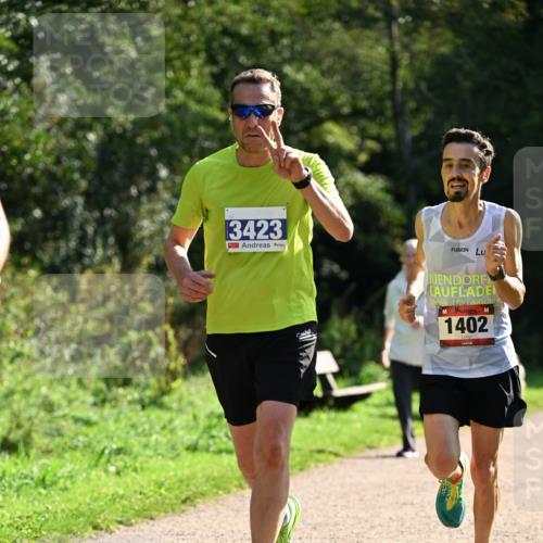 27.09.2026 - 35. Volkslauf durch das schöne Alstertal Dr. Thomas Lammeyer http://msf.ph/oto/10570916 27.09.2026 11:16:08 Laufen 3423, 1402 meine-sportfotos.de