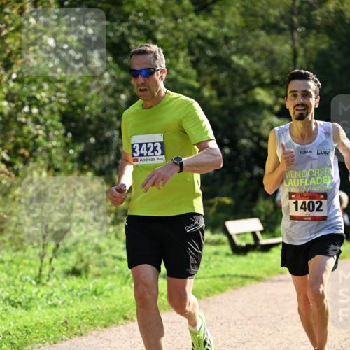 27.09.2026 - 35. Volkslauf durch das schöne Alstertal Dr. Thomas Lammeyer http://msf.ph/oto/10570919 27.09.2026 11:16:08 Laufen 3423, 1402 meine-sportfotos.de