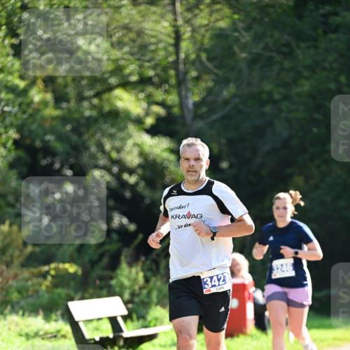 27.09.2026 - 35. Volkslauf durch das schöne Alstertal Dr. Thomas Lammeyer http://msf.ph/oto/10570947 27.09.2026 11:16:28 Laufen 3427, 3246 meine-sportfotos.de