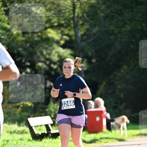 27.09.2026 - 35. Volkslauf durch das schöne Alstertal Dr. Thomas Lammeyer http://msf.ph/oto/10570962 27.09.2026 11:16:30 Laufen 3246 meine-sportfotos.de