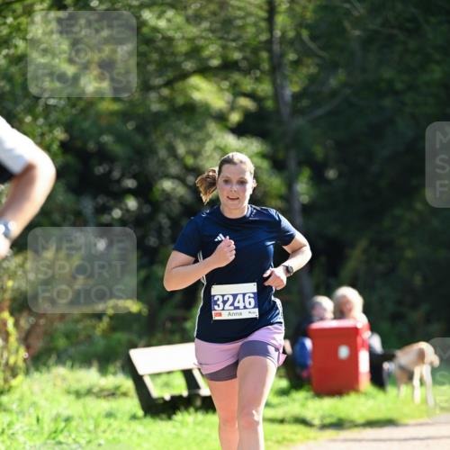 27.09.2026 - 35. Volkslauf durch das schöne Alstertal Dr. Thomas Lammeyer http://msf.ph/oto/10570964 27.09.2026 11:16:30 Laufen 3246 meine-sportfotos.de