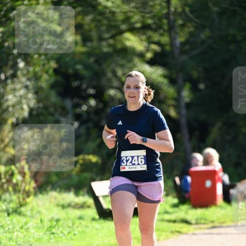 27.09.2026 - 35. Volkslauf durch das schöne Alstertal Dr. Thomas Lammeyer http://msf.ph/oto/10570967 27.09.2026 11:16:31 Laufen 3246 meine-sportfotos.de