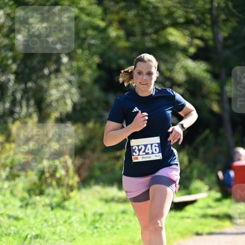 27.09.2026 - 35. Volkslauf durch das schöne Alstertal Dr. Thomas Lammeyer http://msf.ph/oto/10570970 27.09.2026 11:16:31 Laufen 3246 meine-sportfotos.de