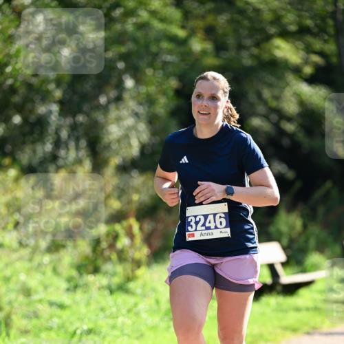 27.09.2026 - 35. Volkslauf durch das schöne Alstertal Dr. Thomas Lammeyer http://msf.ph/oto/10570973 27.09.2026 11:16:31 Laufen 3246 meine-sportfotos.de