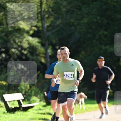 27.09.2026 - 35. Volkslauf durch das schöne Alstertal Dr. Thomas Lammeyer http://msf.ph/oto/10570982 27.09.2026 11:16:33 Laufen 3204 meine-sportfotos.de