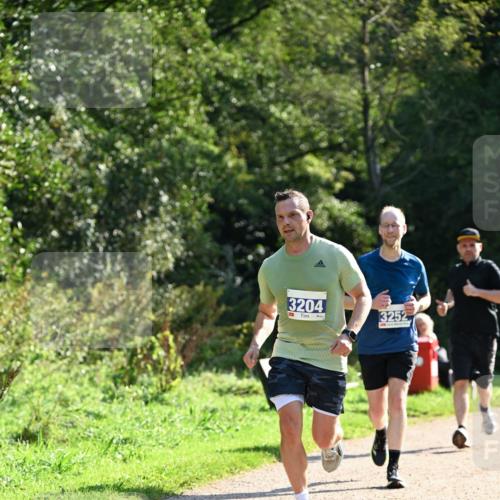 27.09.2026 - 35. Volkslauf durch das schöne Alstertal Dr. Thomas Lammeyer http://msf.ph/oto/10570994 27.09.2026 11:16:34 Laufen 3204, 3252 meine-sportfotos.de