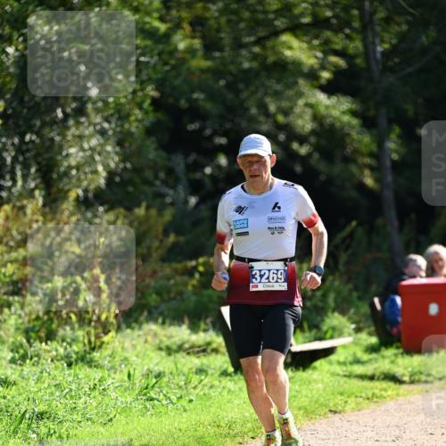 27.09.2026 - 35. Volkslauf durch das schöne Alstertal Dr. Thomas Lammeyer http://msf.ph/oto/10571013 27.09.2026 11:16:41 Laufen 3269 meine-sportfotos.de