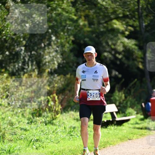 27.09.2026 - 35. Volkslauf durch das schöne Alstertal Dr. Thomas Lammeyer http://msf.ph/oto/10571017 27.09.2026 11:16:42 Laufen 04, 3269 meine-sportfotos.de