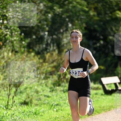 27.09.2026 - 35. Volkslauf durch das schöne Alstertal Dr. Thomas Lammeyer http://msf.ph/oto/10571066 27.09.2026 11:17:00 Laufen 323 meine-sportfotos.de
