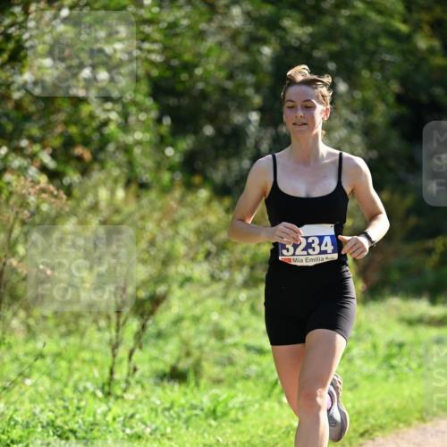 27.09.2026 - 35. Volkslauf durch das schöne Alstertal Dr. Thomas Lammeyer http://msf.ph/oto/10571069 27.09.2026 11:17:00 Laufen 13234 meine-sportfotos.de