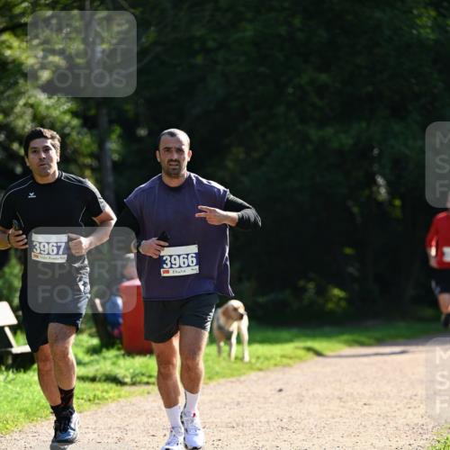27.09.2026 - 35. Volkslauf durch das schöne Alstertal Dr. Thomas Lammeyer http://msf.ph/oto/10571102 27.09.2026 11:17:14 Laufen 3967, 3966 meine-sportfotos.de