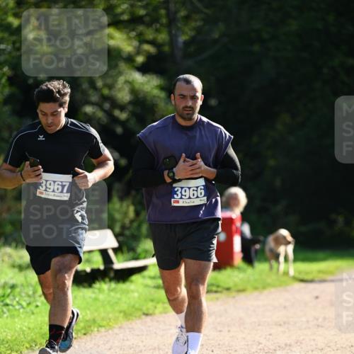 27.09.2026 - 35. Volkslauf durch das schöne Alstertal Dr. Thomas Lammeyer http://msf.ph/oto/10571108 27.09.2026 11:17:14 Laufen 3967, 3966 meine-sportfotos.de