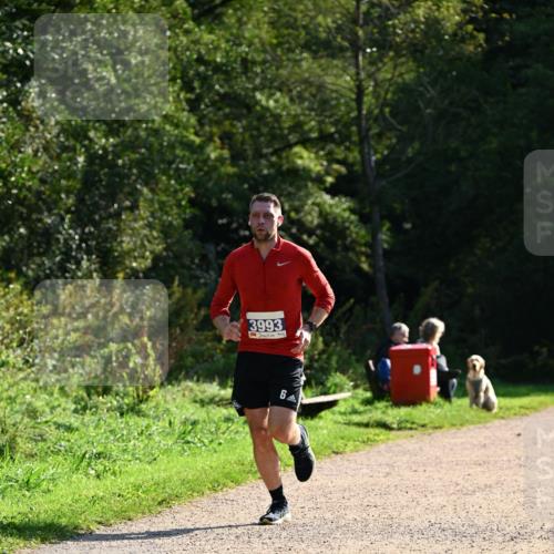 27.09.2026 - 35. Volkslauf durch das schöne Alstertal Dr. Thomas Lammeyer http://msf.ph/oto/10571123 27.09.2026 11:17:20 Laufen 3993, 6 meine-sportfotos.de