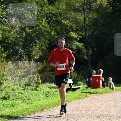 27.09.2026 - 35. Volkslauf durch das schöne Alstertal Dr. Thomas Lammeyer http://msf.ph/oto/10571125 27.09.2026 11:17:20 Laufen 3993, 6 meine-sportfotos.de