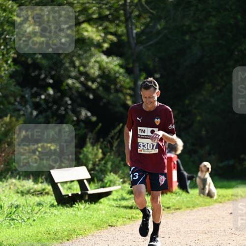 27.09.2026 - 35. Volkslauf durch das schöne Alstertal Dr. Thomas Lammeyer http://msf.ph/oto/10571141 27.09.2026 11:17:31 Laufen 3, 3307, 3 meine-sportfotos.de