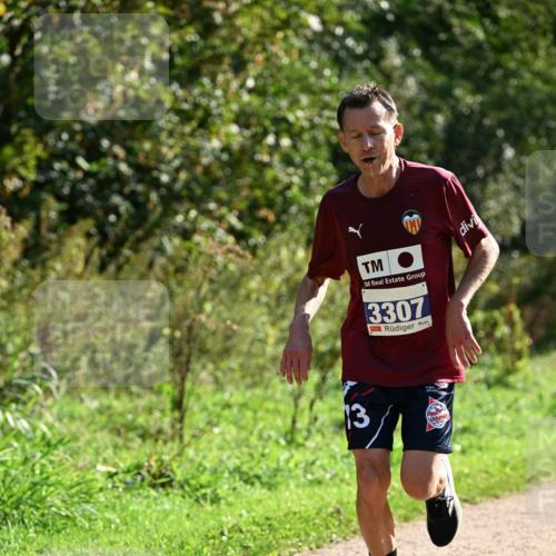 27.09.2026 - 35. Volkslauf durch das schöne Alstertal Dr. Thomas Lammeyer http://msf.ph/oto/10571166 27.09.2026 11:17:33 Laufen 13, 3307 meine-sportfotos.de