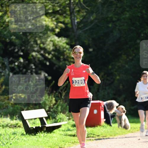 27.09.2026 - 35. Volkslauf durch das schöne Alstertal Dr. Thomas Lammeyer http://msf.ph/oto/10571182 27.09.2026 11:17:42 Laufen 2019, 3289, 13971 meine-sportfotos.de