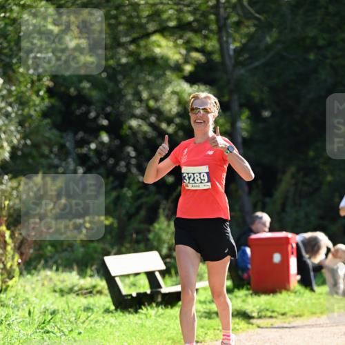 27.09.2026 - 35. Volkslauf durch das schöne Alstertal Dr. Thomas Lammeyer http://msf.ph/oto/10571186 27.09.2026 11:17:43 Laufen 3289 meine-sportfotos.de