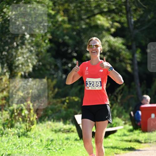 27.09.2026 - 35. Volkslauf durch das schöne Alstertal Dr. Thomas Lammeyer http://msf.ph/oto/10571191 27.09.2026 11:17:43 Laufen 2019, 3289 meine-sportfotos.de