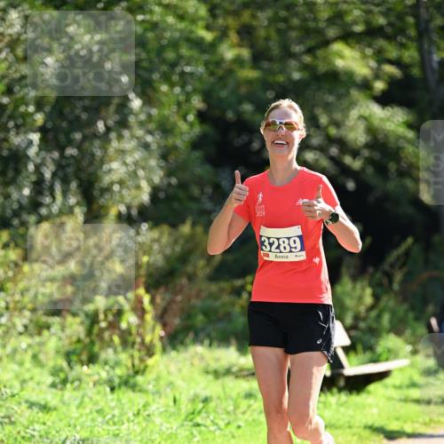 27.09.2026 - 35. Volkslauf durch das schöne Alstertal Dr. Thomas Lammeyer http://msf.ph/oto/10571194 27.09.2026 11:17:43 Laufen 2019, 3289 meine-sportfotos.de