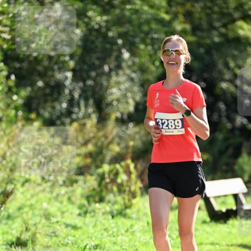 27.09.2026 - 35. Volkslauf durch das schöne Alstertal Dr. Thomas Lammeyer http://msf.ph/oto/10571197 27.09.2026 11:17:44 Laufen 2019, 3289 meine-sportfotos.de