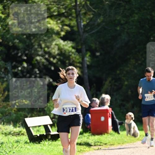 27.09.2026 - 35. Volkslauf durch das schöne Alstertal Dr. Thomas Lammeyer http://msf.ph/oto/10571200 27.09.2026 11:17:45 Laufen 3971 meine-sportfotos.de
