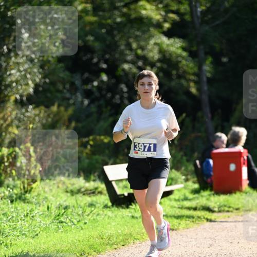 27.09.2026 - 35. Volkslauf durch das schöne Alstertal Dr. Thomas Lammeyer http://msf.ph/oto/10571204 27.09.2026 11:17:45 Laufen 3971 meine-sportfotos.de