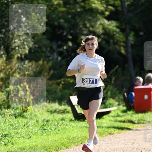 27.09.2026 - 35. Volkslauf durch das schöne Alstertal Dr. Thomas Lammeyer http://msf.ph/oto/10571205 27.09.2026 11:17:45 Laufen 3971, 5 meine-sportfotos.de
