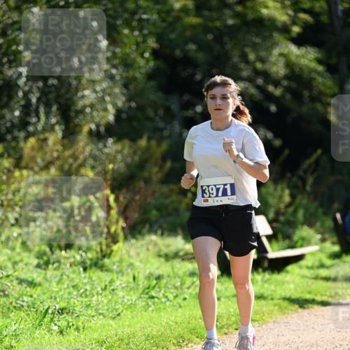 27.09.2026 - 35. Volkslauf durch das schöne Alstertal Dr. Thomas Lammeyer http://msf.ph/oto/10571208 27.09.2026 11:17:46 Laufen 3971 meine-sportfotos.de