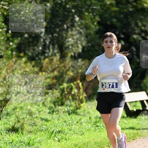 27.09.2026 - 35. Volkslauf durch das schöne Alstertal Dr. Thomas Lammeyer http://msf.ph/oto/10571210 27.09.2026 11:17:46 Laufen 00, 3971 meine-sportfotos.de