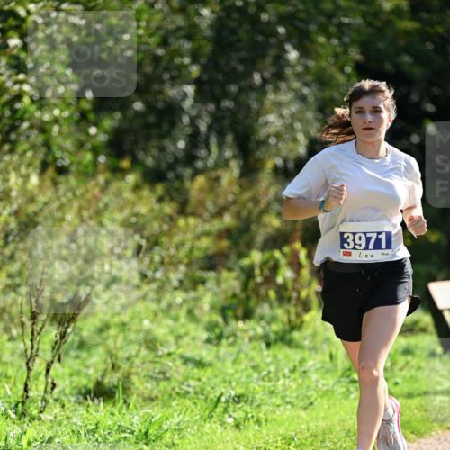 27.09.2026 - 35. Volkslauf durch das schöne Alstertal Dr. Thomas Lammeyer http://msf.ph/oto/10571211 27.09.2026 11:17:46 Laufen 3971 meine-sportfotos.de