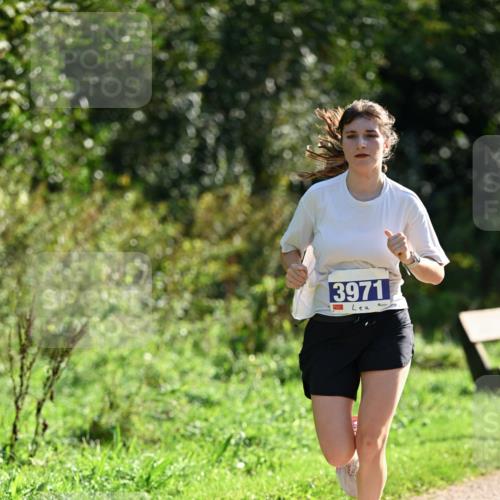 27.09.2026 - 35. Volkslauf durch das schöne Alstertal Dr. Thomas Lammeyer http://msf.ph/oto/10571213 27.09.2026 11:17:46 Laufen 3971 meine-sportfotos.de