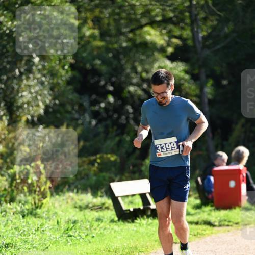 27.09.2026 - 35. Volkslauf durch das schöne Alstertal Dr. Thomas Lammeyer http://msf.ph/oto/10571220 27.09.2026 11:17:48 Laufen 3399 meine-sportfotos.de