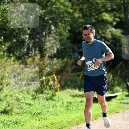 27.09.2026 - 35. Volkslauf durch das schöne Alstertal Dr. Thomas Lammeyer http://msf.ph/oto/10571226 27.09.2026 11:17:48 Laufen 339 meine-sportfotos.de