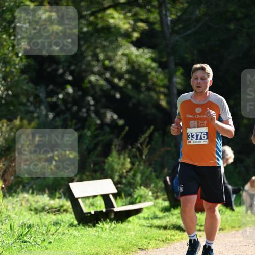 27.09.2026 - 35. Volkslauf durch das schöne Alstertal Dr. Thomas Lammeyer http://msf.ph/oto/10571241 27.09.2026 11:17:52 Laufen 3376 meine-sportfotos.de