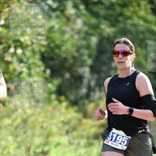 27.09.2026 - 35. Volkslauf durch das schöne Alstertal Dr. Thomas Lammeyer http://msf.ph/oto/10571298 27.09.2026 11:18:17 Laufen 3195 meine-sportfotos.de