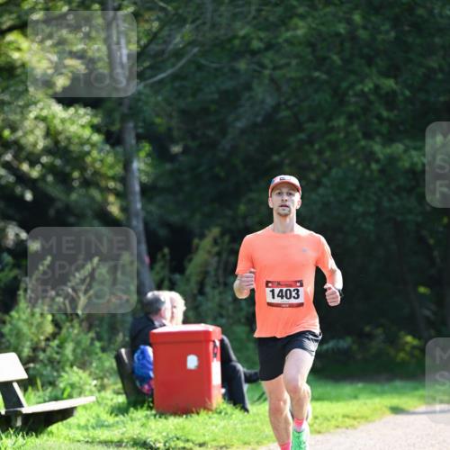 27.09.2026 - 35. Volkslauf durch das schöne Alstertal Dr. Thomas Lammeyer http://msf.ph/oto/10571303 27.09.2026 11:18:21 Laufen 1403 meine-sportfotos.de