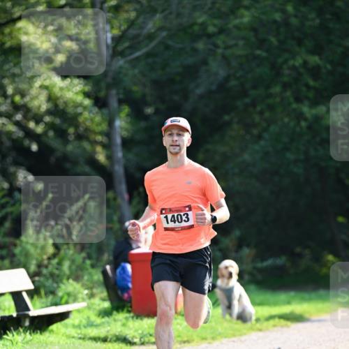 27.09.2026 - 35. Volkslauf durch das schöne Alstertal Dr. Thomas Lammeyer http://msf.ph/oto/10571308 27.09.2026 11:18:21 Laufen 1403 meine-sportfotos.de