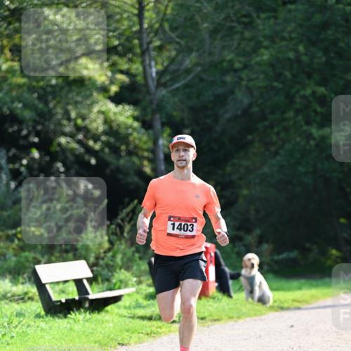 27.09.2026 - 35. Volkslauf durch das schöne Alstertal Dr. Thomas Lammeyer http://msf.ph/oto/10571309 27.09.2026 11:18:22 Laufen 1403 meine-sportfotos.de