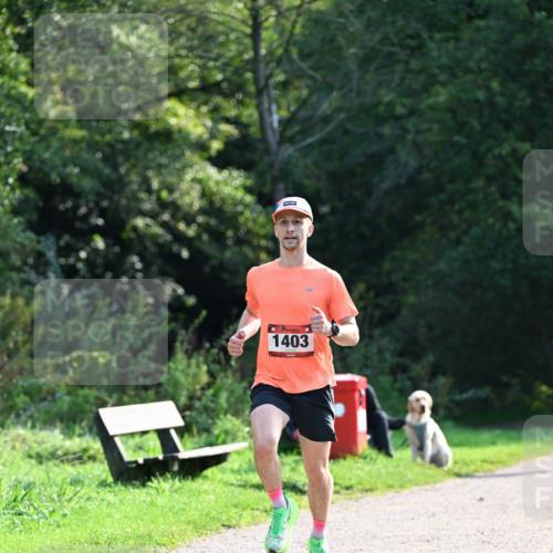 27.09.2026 - 35. Volkslauf durch das schöne Alstertal Dr. Thomas Lammeyer http://msf.ph/oto/10571311 27.09.2026 11:18:22 Laufen 1403 meine-sportfotos.de