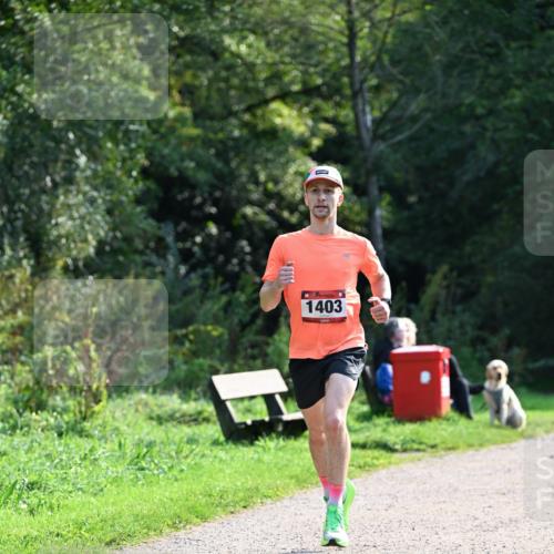 27.09.2026 - 35. Volkslauf durch das schöne Alstertal Dr. Thomas Lammeyer http://msf.ph/oto/10571314 27.09.2026 11:18:22 Laufen 1403 meine-sportfotos.de