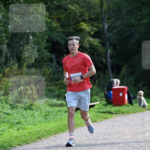 27.09.2026 - 35. Volkslauf durch das schöne Alstertal Dr. Thomas Lammeyer http://msf.ph/oto/10571330 27.09.2026 11:18:28 Laufen  meine-sportfotos.de