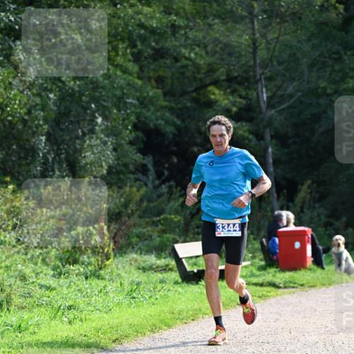 27.09.2026 - 35. Volkslauf durch das schöne Alstertal Dr. Thomas Lammeyer http://msf.ph/oto/10571349 27.09.2026 11:18:33 Laufen 3344 meine-sportfotos.de