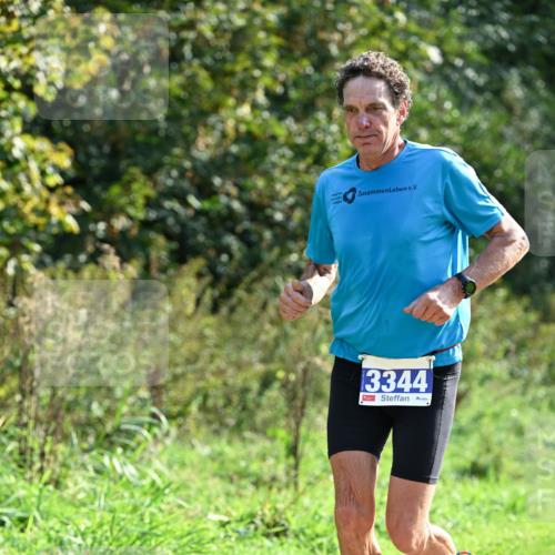 27.09.2026 - 35. Volkslauf durch das schöne Alstertal Dr. Thomas Lammeyer http://msf.ph/oto/10571371 27.09.2026 11:18:35 Laufen 3344 meine-sportfotos.de