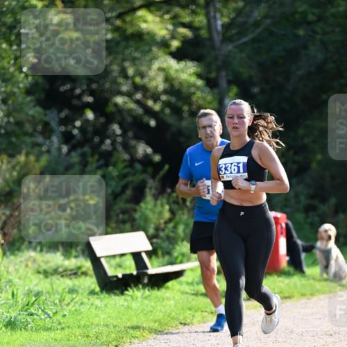 27.09.2026 - 35. Volkslauf durch das schöne Alstertal Dr. Thomas Lammeyer http://msf.ph/oto/10571392 27.09.2026 11:18:47 Laufen 3361 meine-sportfotos.de