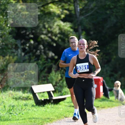 27.09.2026 - 35. Volkslauf durch das schöne Alstertal Dr. Thomas Lammeyer http://msf.ph/oto/10571393 27.09.2026 11:18:47 Laufen 3361 meine-sportfotos.de